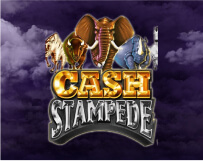 Cash Stampede