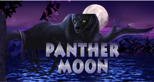 Panther Moon